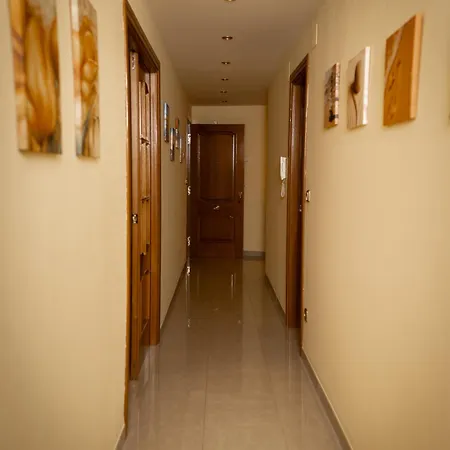 Vut Santa Monica * טרואל